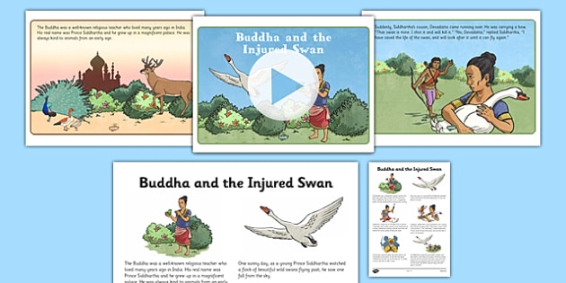 Buddha and the Injured Swan PowerPoint and Script