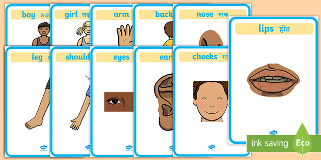 Body Parts Name With Pictures In English And Hindi - Navneet Primary