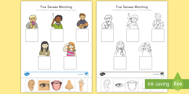 5 senses for kids cut and paste matching activity science