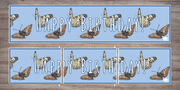 Butterfly Birthday Banner | Twinkl Party (teacher made)