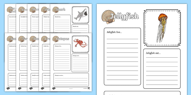 create worksheet an animal (Under Creatures  the Factfile Sea) sea Sea Worksheets