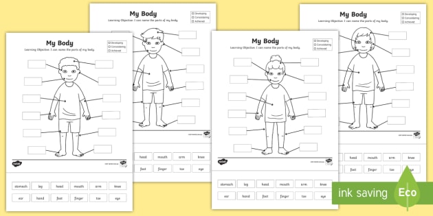 يشرح مدرسة حضانة يعطى  Male/Female Body Diagram with Labels Body Parts Worksheet