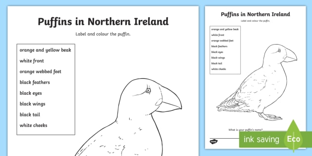 Puffin Colouring Page Teacher Made