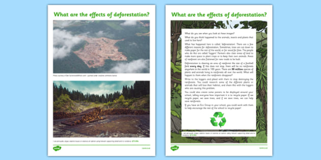 persuasive speech deforestation ks2