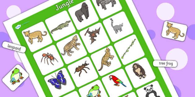 Jungle Vocabulary Poster (teacher made)