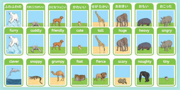 動物の形容詞 英語と日本語 フラッシュカード Zoo Animals Adjectives Flashcards Twinkl JP