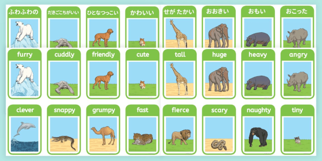 jp-preview-animal-adjective-