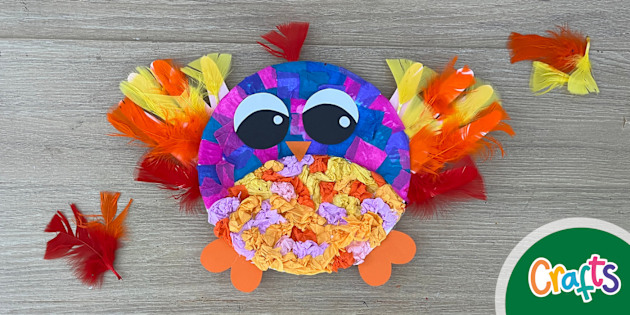 Paper Plate Bird Craft Activity Twinkl+