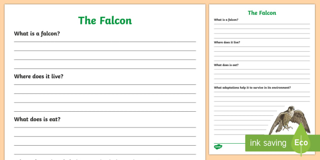 Falcon Information Text Writing Template (teacher made)