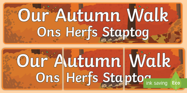 Our Autumn Walk Display Banner English Afrikaans Leaves Nature