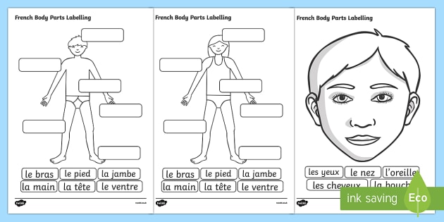 french body parts labeling worksheet teacher made