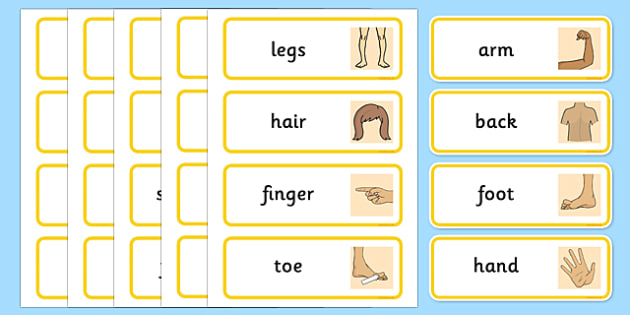 Parts of the Body Topic Word Cards - ESL Body Parts Vocabulary