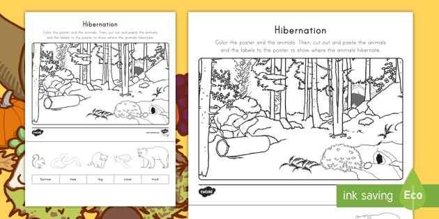 Hibernation Cut Color And Paste Activity Teacher Made