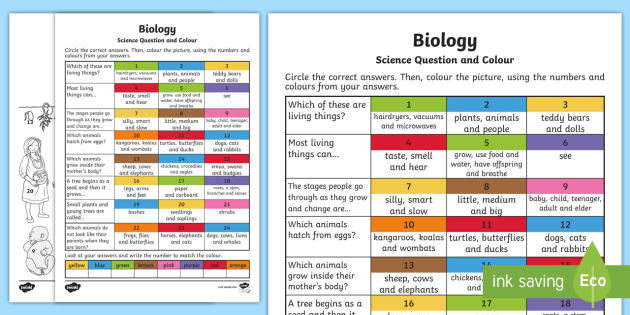 year 2 biological science questions and colouring