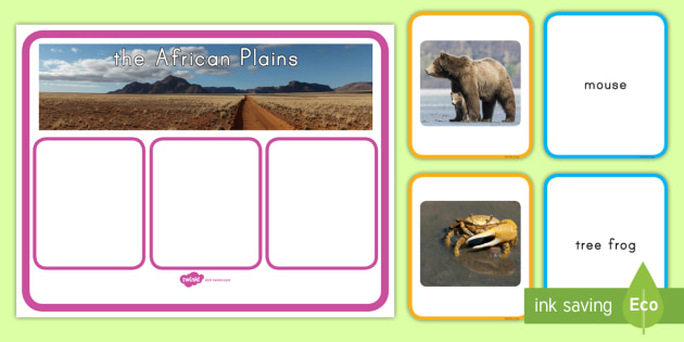 Animal Habitats Matching Cards Teacher Made