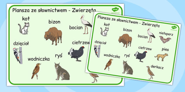 Karty ze slownictwem Zwierzeta po polsku (teacher made)