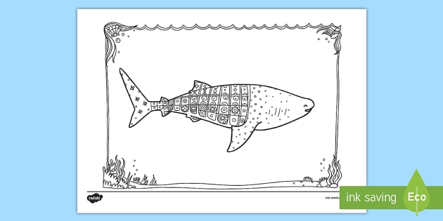 whale shark mindfulness colouring page teacher made