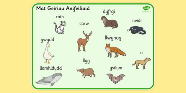 Cute welsh word for Welsh Dog