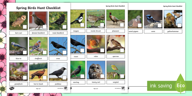 FREE! - Spring Birds Scavenger Hunt Activity - Animals, flying, garden, EAL