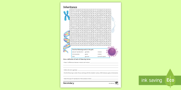 Inheritance Word Search