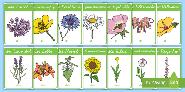 Blumen Poster Fur Die Klassenraumgestaltung Teacher Made