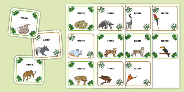 Rainforest Peg Labels (teacher made)