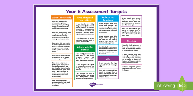 Year 6 Science Assessment Display Posters teacher Made 