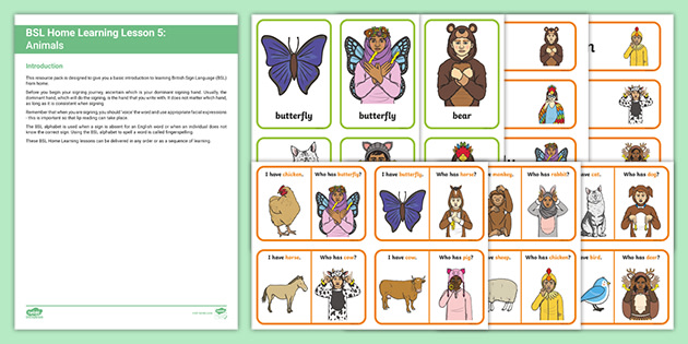 BSL Home Learning Lesson 5 - Animals (teacher made) - Twinkl