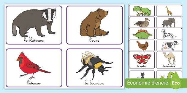 Cartes de vocabulaire : Les animaux (teacher made)