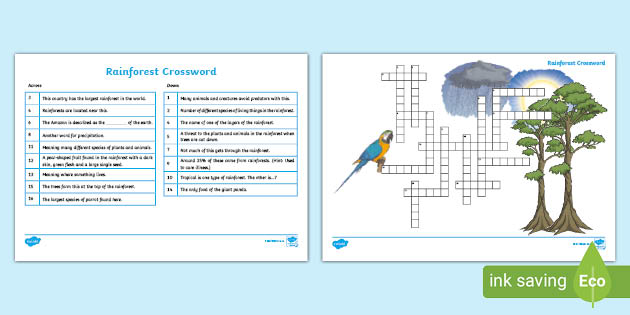 KS2 Rainforest Crossword - Science and STEM (teacher made)