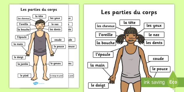 Parties Du Corps A4 French teacher Made 