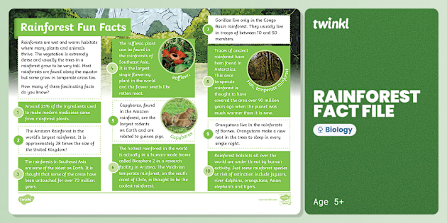 Rainforest Fun Facts Fact File - KS2 - Geography