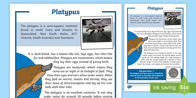 Platypus Fact Sheet