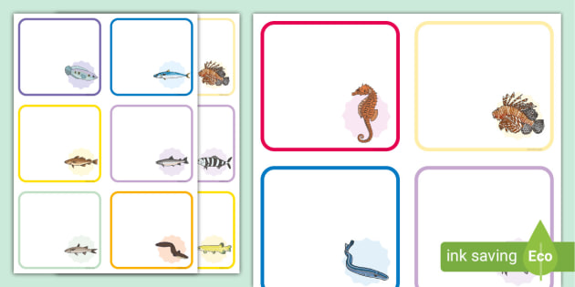 * NEW * Fish Peg Labels, fish name tags (teacher made)