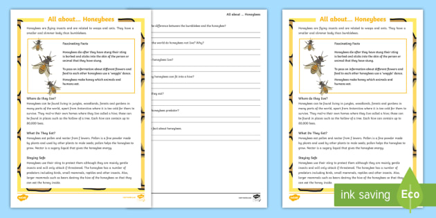 Honeybee Reading Comprehension - Honeybee, Reading