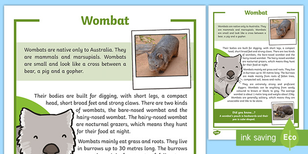 Wombat Facts For Kids