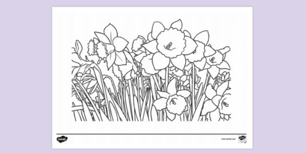 FREE! - Springtime Colouring Page | Colouring Sheets