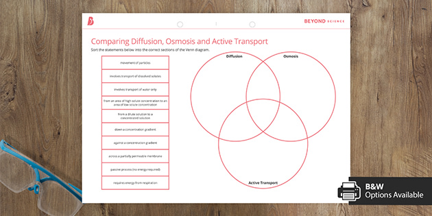 43-active-transport-worksheet-answers-worksheet-for-fun