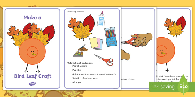 Birds Activities for Kids - Twinkl Homework Help - Twinkl