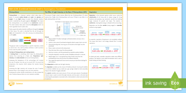 Bioenergetics Knowledge Organiser | AQA Science | Beyond