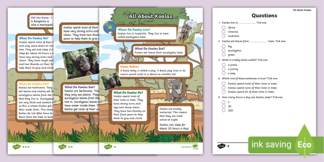 Ks1 All About Koalas Differentiated Reading Comprehension Activity