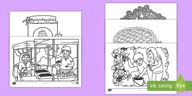 blackberry picking colouring pages teacher made
