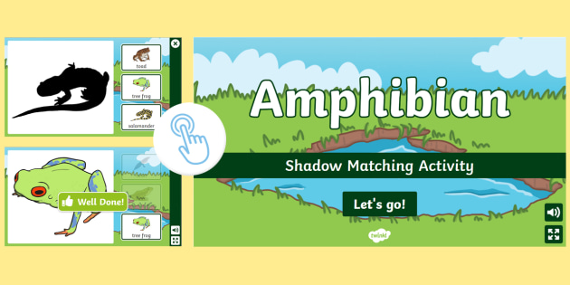 Amphibian Activities for Kids - Twinkl Homework Help