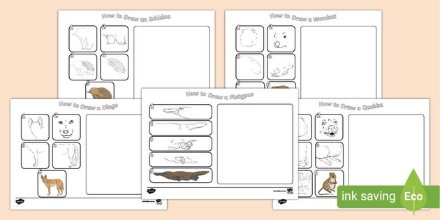 how to draw an australian platypus