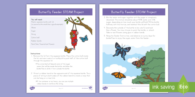 Butterfly Feeder Steam Craft Teacher Made