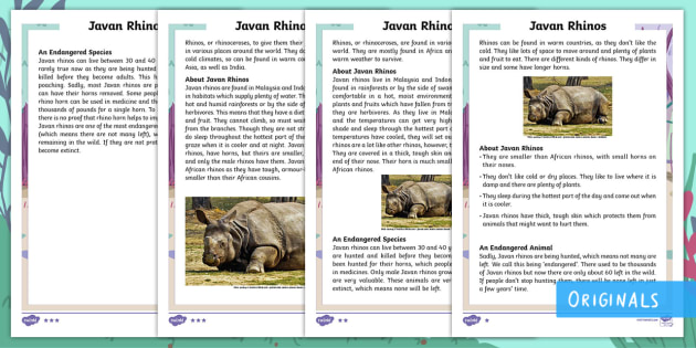 Javan Rhino Fact Sheet - Teacher-made Primary Resource