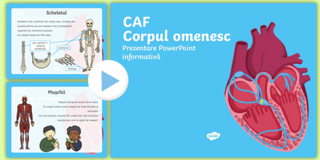 Corpul omenesc - PowerPoint Informativ pentru CAF