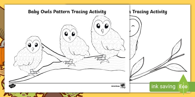 Baby Owls Pattern Tracing Activity teacher Made 