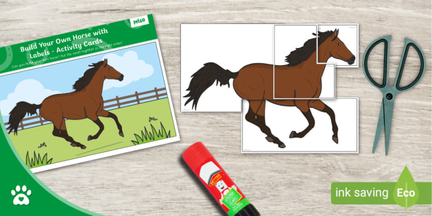 Build Your Own Horse - Activity Cards - Pony - Twinkl Pets