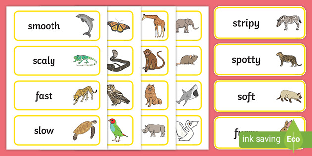 Animal Adjectives Word Cards | Adjective Examples - Twinkl